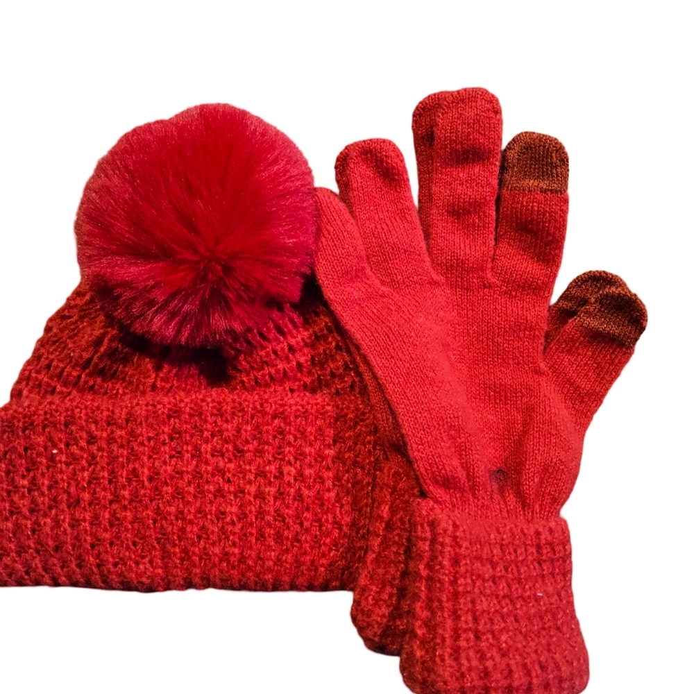 Style and Co Gloves and Beannie Combo